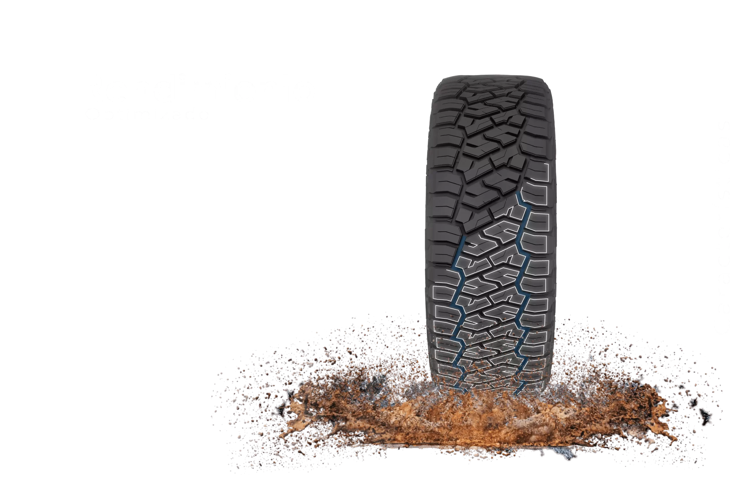 Características